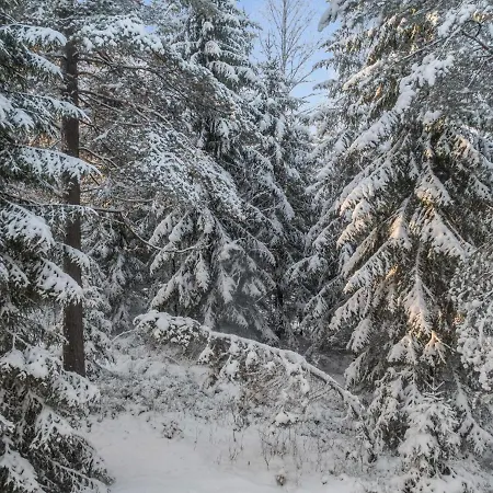 Vakantiehuis Vaarapirtti - Taehti By Interhome *